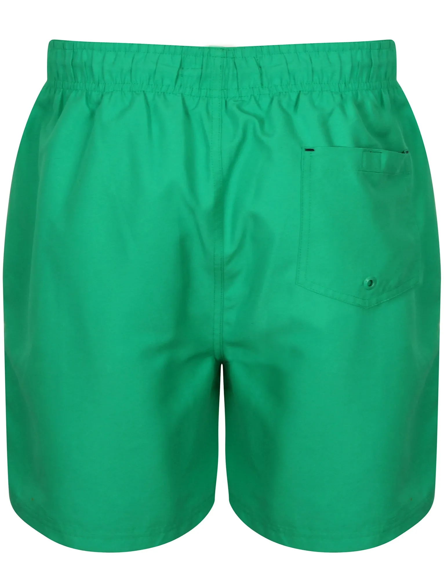 Wavertree Swim Shorts in Simple Green - South Shore